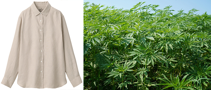 無印良品「ヘンプ」を使用した衣料品を拡大