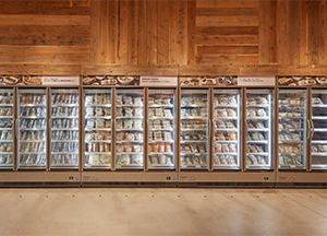 冷凍食品、チルドスイーツの取り扱い