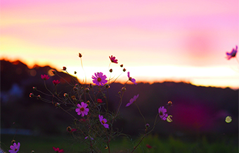 みんなみの里の風景2