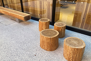 丸太のベンチ