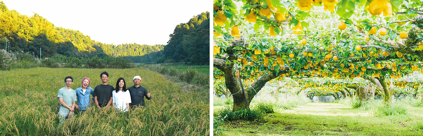 「里のMUJI みんなみの里」の様子