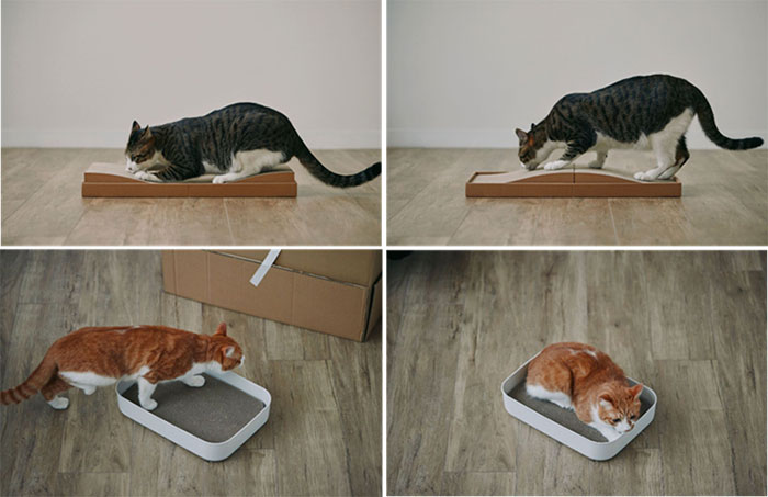 ダンボール 爪とぎ／爪とぎベッド